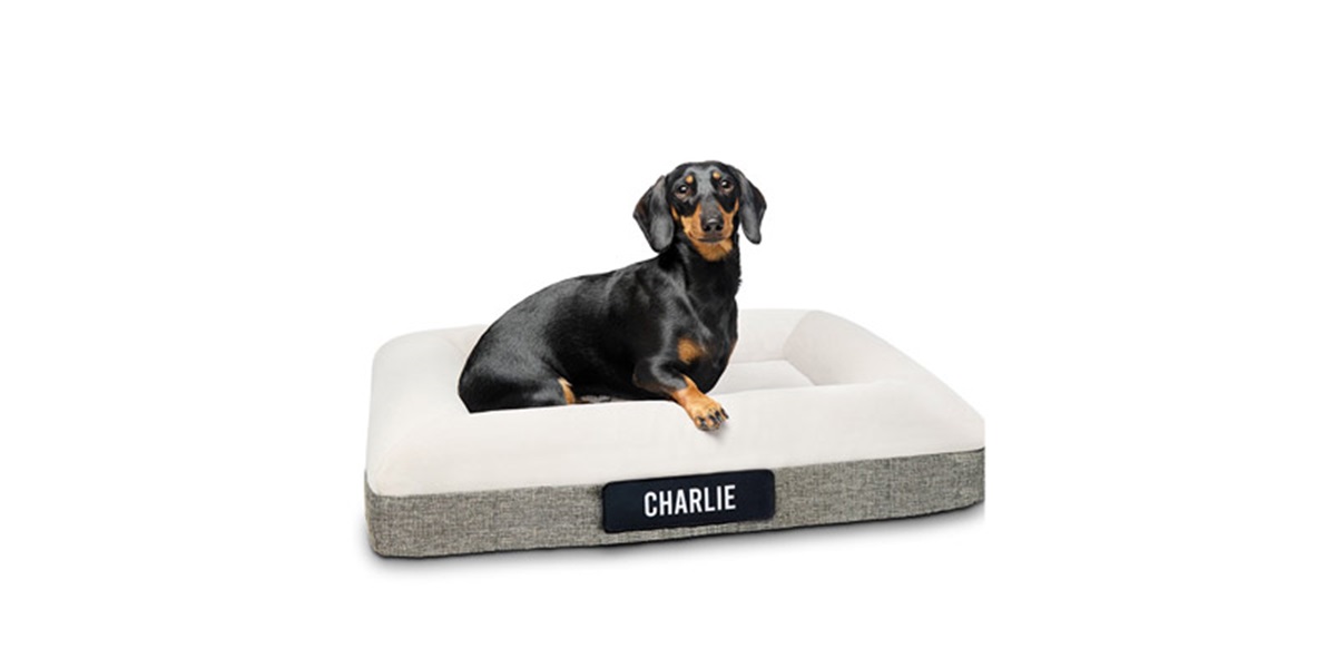 calming-dog-beds-Main