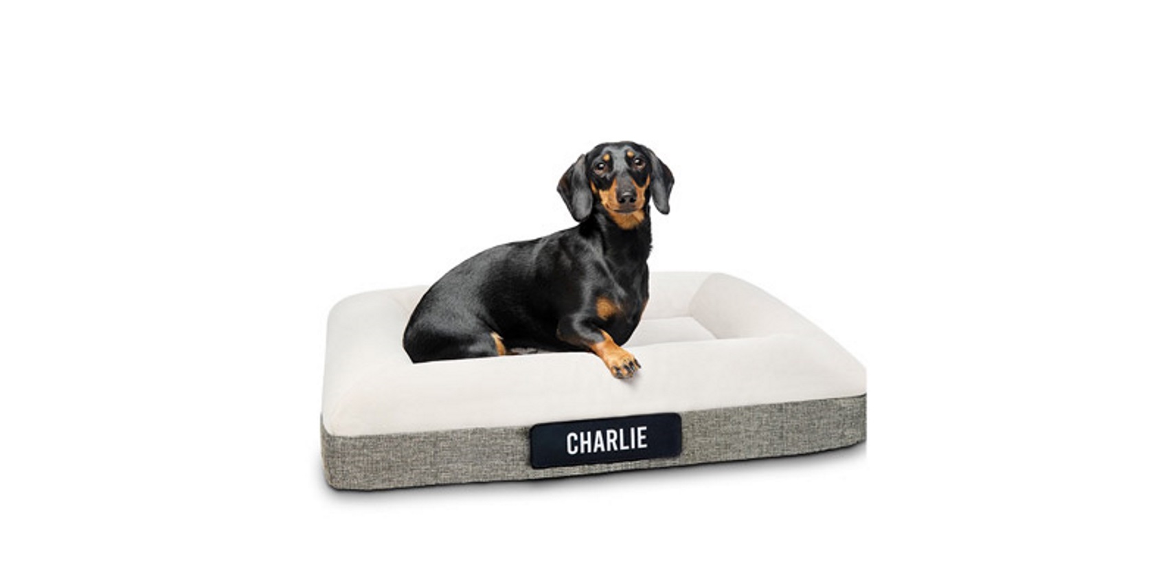 Dog bed target clearance au