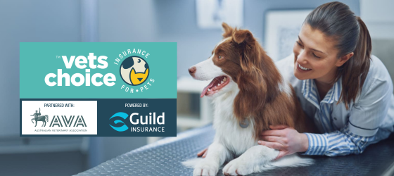 Vets Choice AVA and Guild Insurance Logos