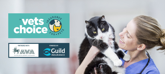 Vets Choice AVA and Guild Insurance Logos