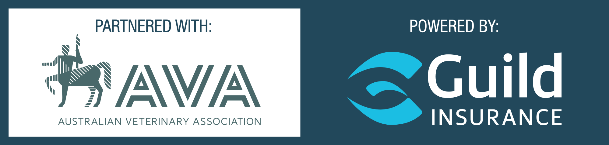 Guild and AVA Partnership logo